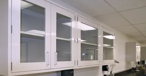 Wall-Mounted Lab Cabinet